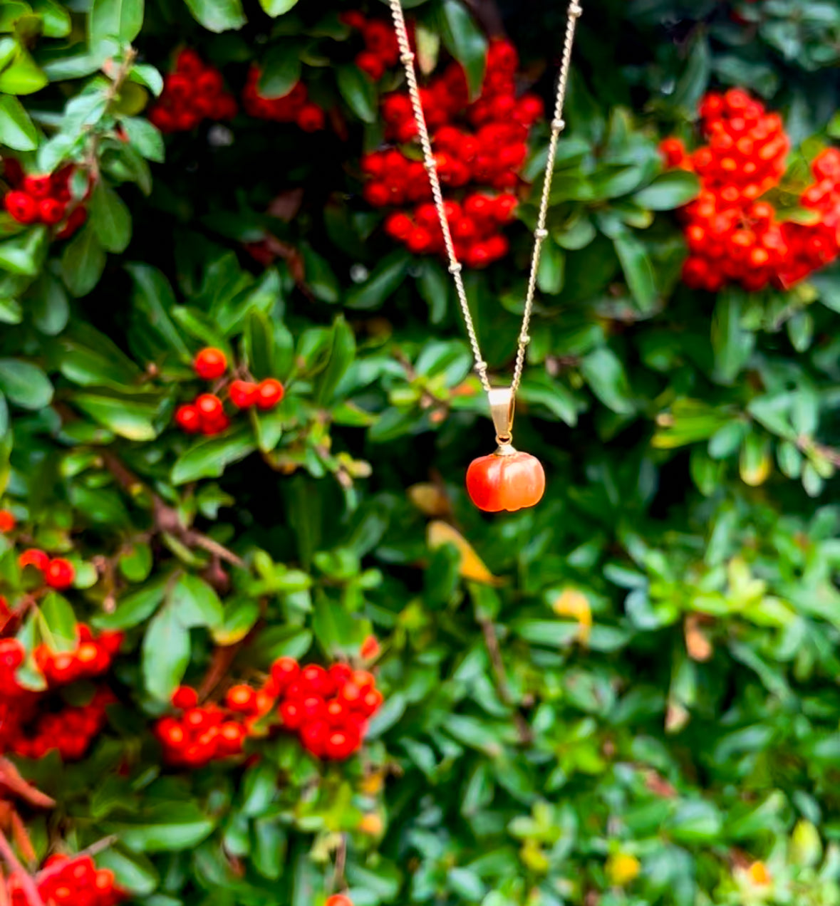 Limited Edition Pumpkin Hangers